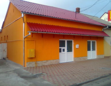 Descrierea in dreapta pozei...