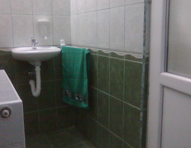 Descrierea in dreapta pozei...