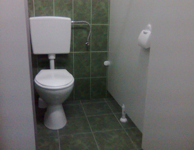 Descrierea in dreapta pozei...