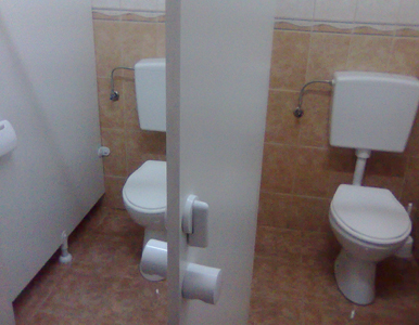 Descrierea in dreapta pozei...